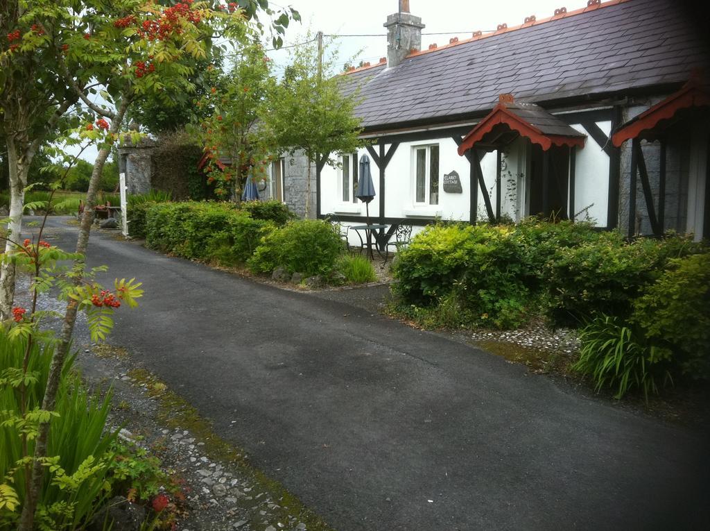 Caheroyn House Bed & Breakfast Athenry Exterior photo