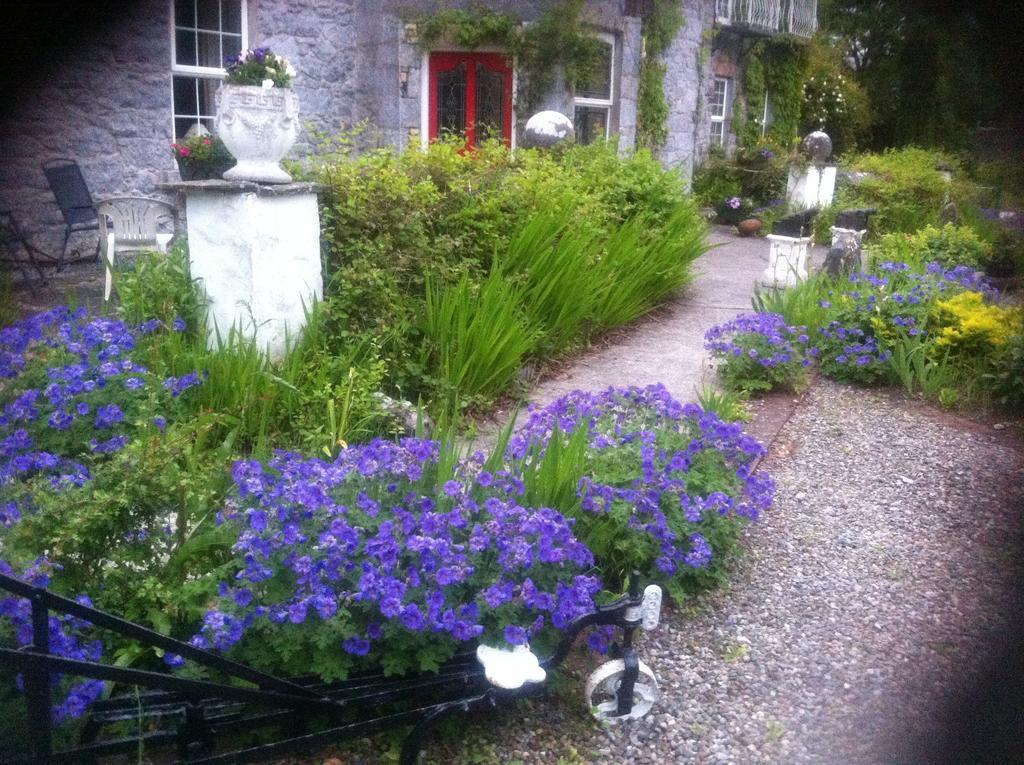 Caheroyn House Bed & Breakfast Athenry Exterior photo