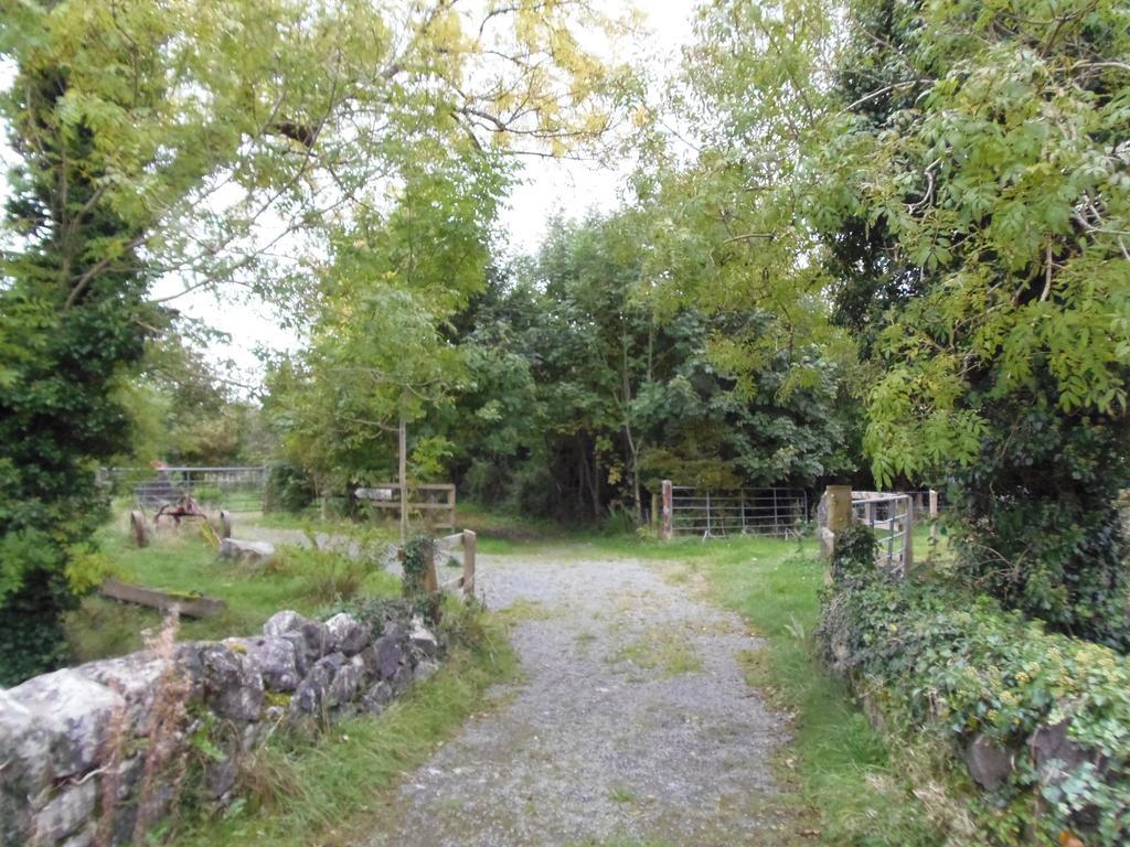 Caheroyn House Bed & Breakfast Athenry Exterior photo